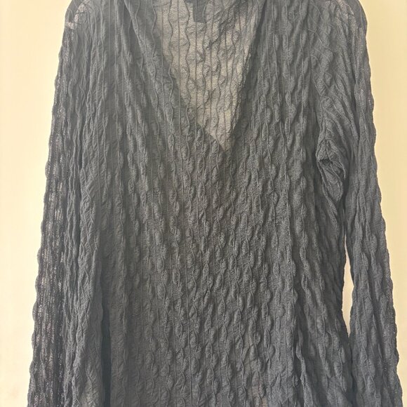 Cider Sheer Button Down - Picture 4 of 5